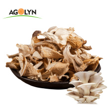 High Nutrition  Raw Wild  Dried   Oyster Mushroom